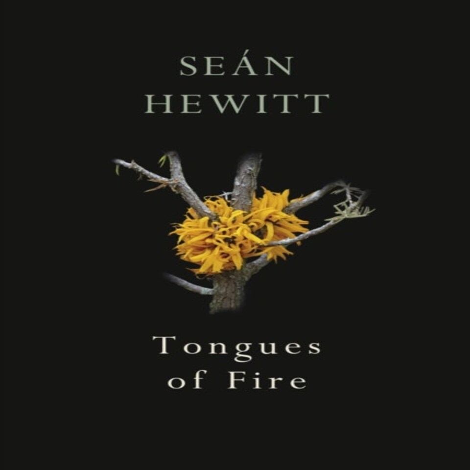 Tongues Of Fire