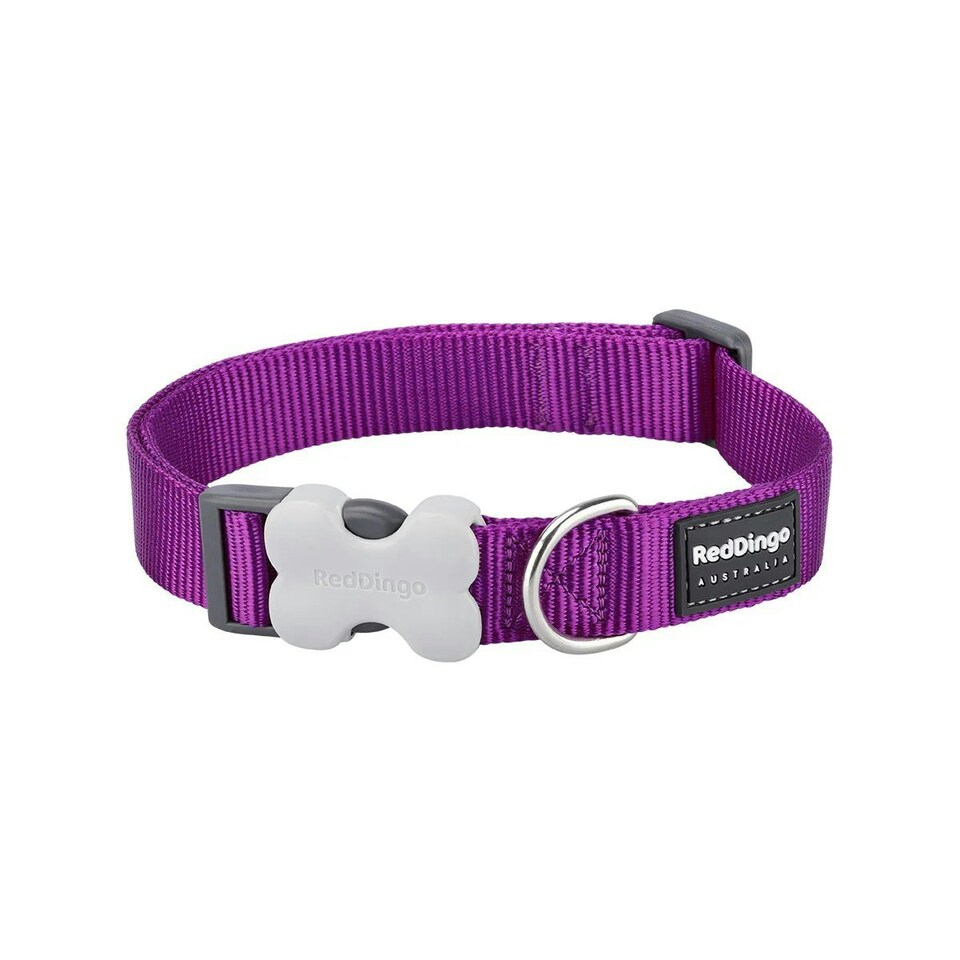 image 1 of Dog Collar Classic Purple Purple | M