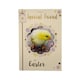 image 1 of For A Special Friend Chick Design Happy Easter Card
