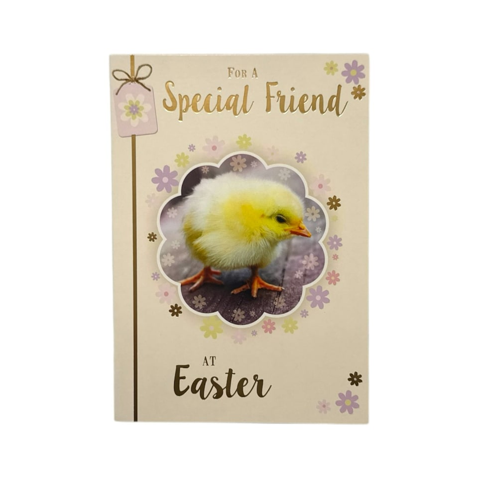 image 1 of For A Special Friend Chick Design Happy Easter Card