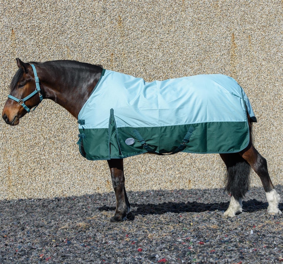 image 1 of eQuitack 600D Waterproof Horse Turnout Rug 0g No Fill Regular Neck Pista Aqua/Bottle Green 6'6''