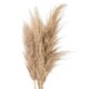 image 3 of Hill Interiors Artificial Single Stem Pampas Grass - Butter - One Size