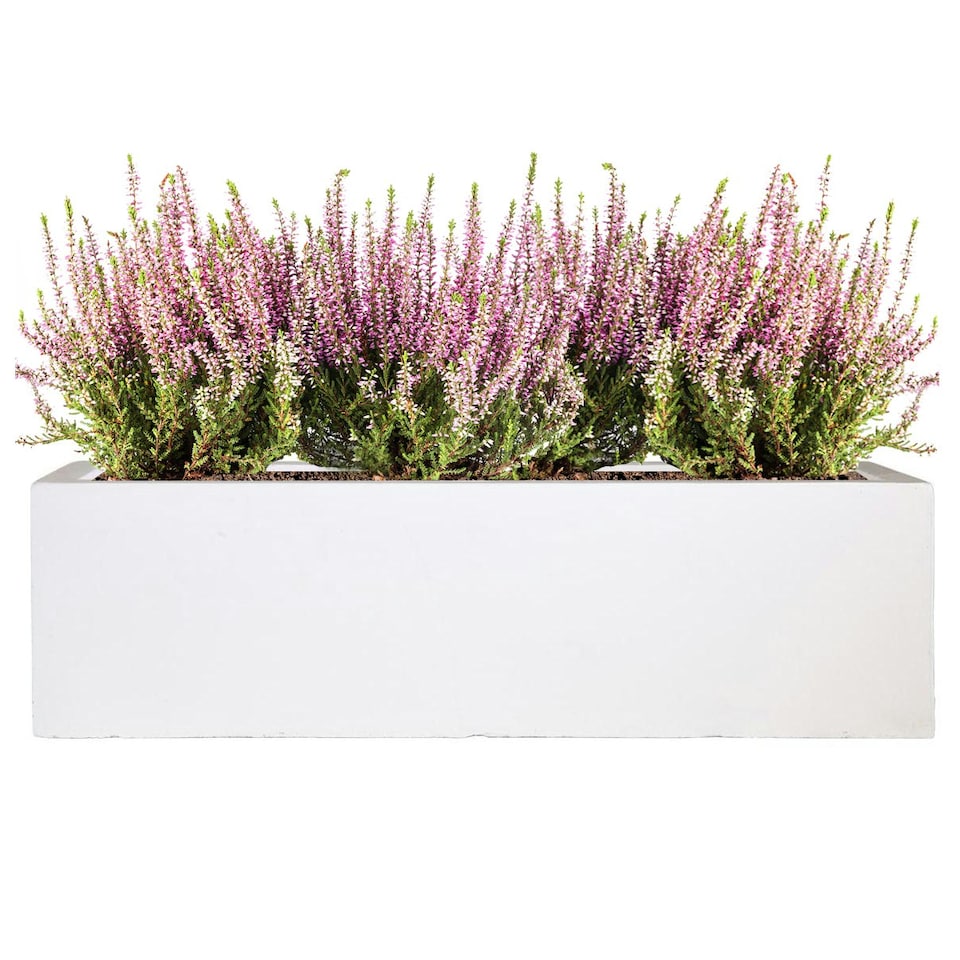 image 1 of Window Box Light Concrete White Garden Planter L80 W17 H17.5 cm, 24 ltrs Cap.