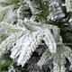 image 7 of 10FT Green Lapland Snow Covered Christmas Tree | White | 10ft