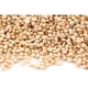 image 7 of Quinoa Grain 2kg (Sussex Wholefoods) | Multi