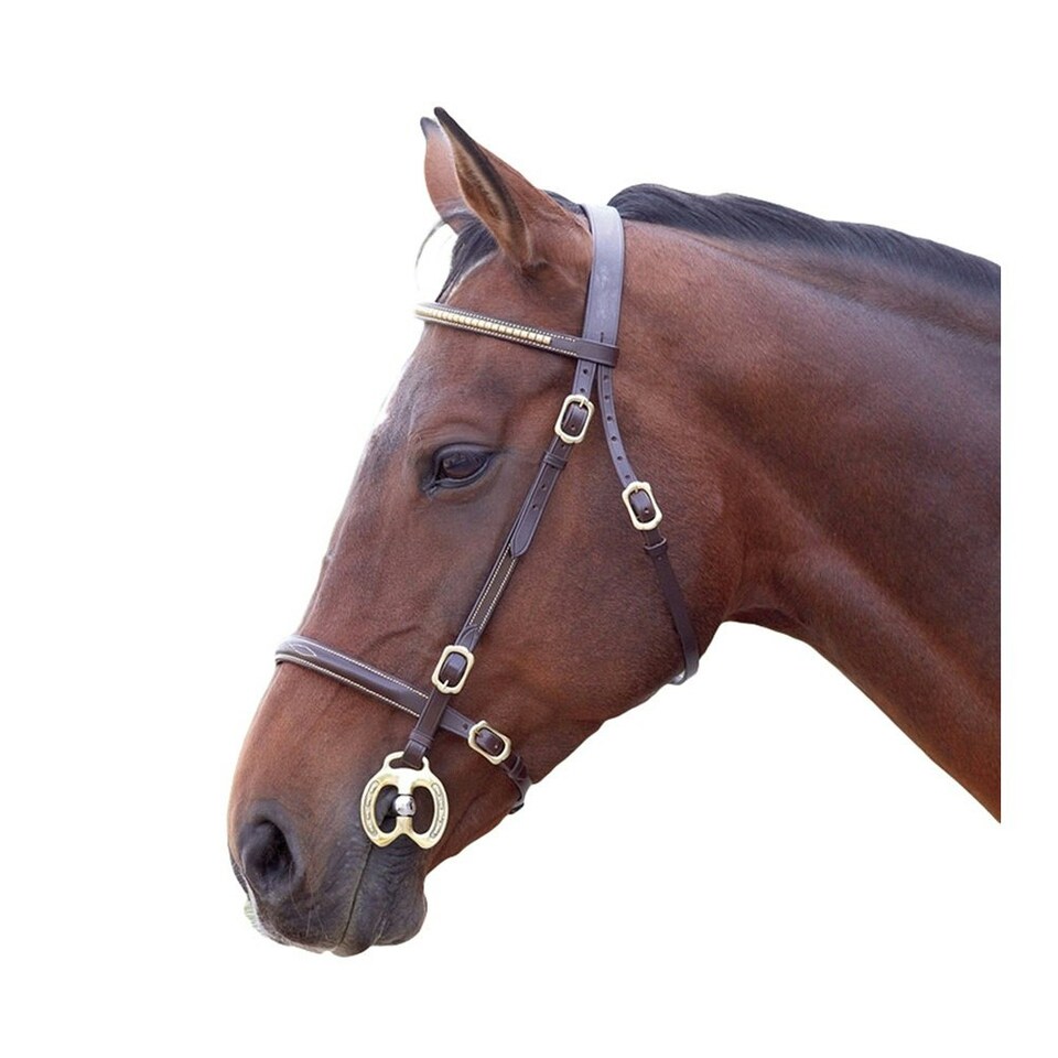 Blenheim Leather Clincher Horse Inhand Bridle - Havana - Shetland