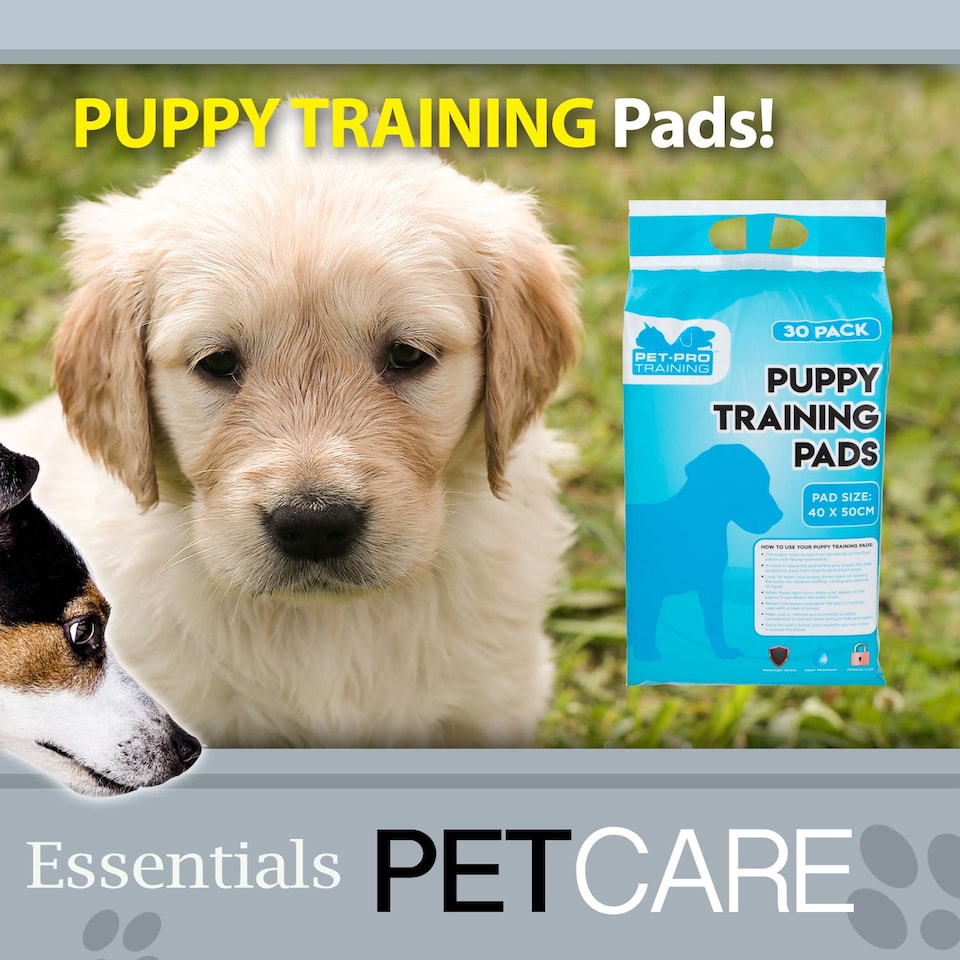 image 1 of VFM e-Store Puppy Training Pads, Pack of 30, 40 x 50 cm