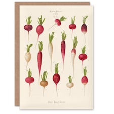 Ernst Benary Art Card Radish Root Varieties Vintage Botanical