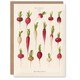 image 1 of Ernst Benary Art Card Radish Root Varieties Vintage Botanical