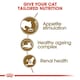 image 5 of Royal Canin Cat Food Ageing 12+ - 2 KG