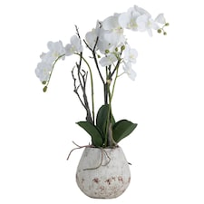Hill Interiors Orchid In Stone Pot - White - 70 x 46 x 46cm