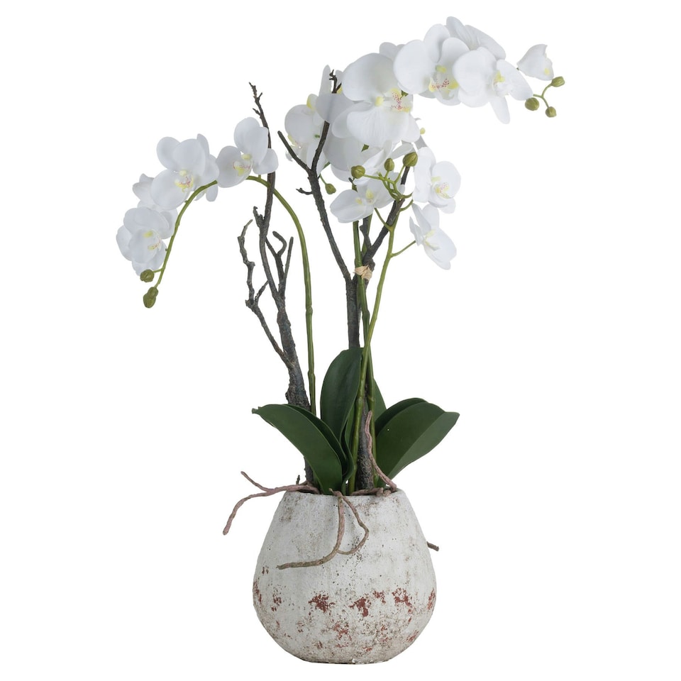 Hill Interiors Orchid In Stone Pot - White - 70 x 46 x 46cm