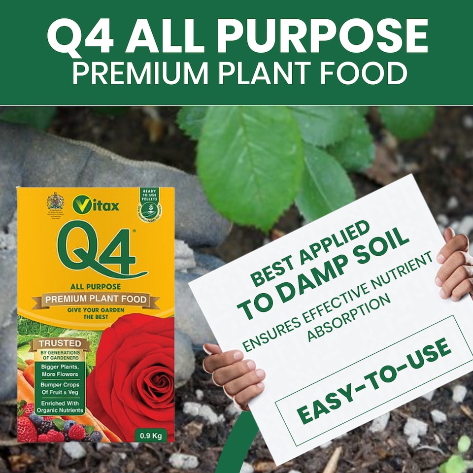 image 1 of Vitax Q4 All Purpose Plant Food Pelleted Fertiliser for Flowers Vegetables Fruit Lawns Garden Feed- 0.9kg Box