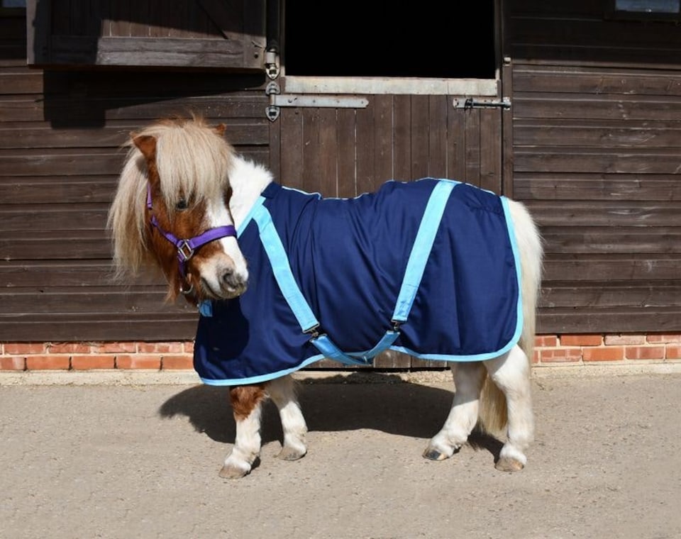 image 1 of Rhinegold Mini Summer Sheet | Multi