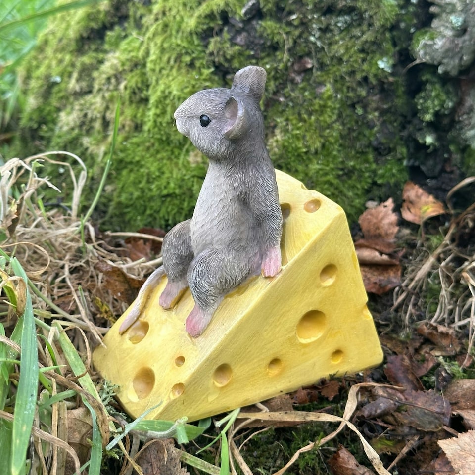image 1 of Animal Crackers Mouse On Cheese Wedge Fairy Woodland Garden Ornament, Mice Lover Gift