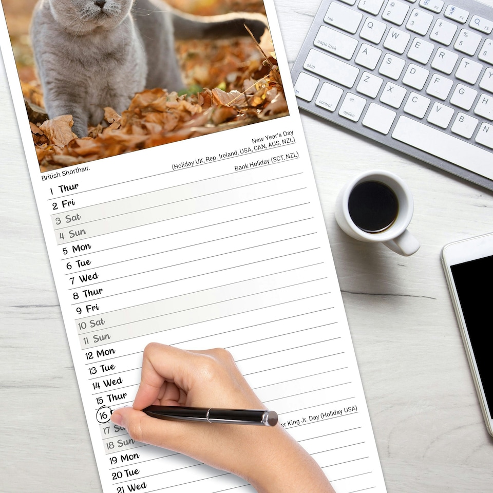 image 1 of Cats Slim 2026 Calendar | Slimline Wall Calendar | Cat Gift | Plastic Free Packaging | by Avonside Publishing [Calendar] Avonside Publishing Ltd