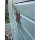image 3 of Folded Wings Butterfly (Small) Garden Art - W20.3 x H19.1 cm - Bare Metal/Ready to Rust