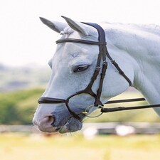 Shires RAPIDA Rolled Padded Cavesson Bridle Black | Size: Pony
Colour: Black