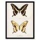 image 1 of Sherman Denton Framed Wall Art Print Giant Swallowtail Butterfly Home Décor