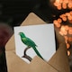 image 3 of Francois Levaillant Art Card The Long Tailed Parakeet