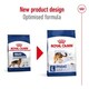 image 10 of Royal Canin Maxi Dry Adult Dog Food 3kg