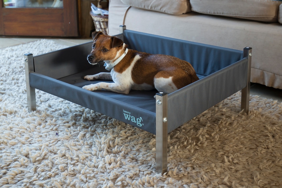 image 1 of Henry Wag Elevated Pet Bed, Provides Comfort and Support For Your Pet, Size Small | Grey | Grey | S