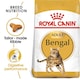 image 1 of Royal Canin Bengal Adult Dry Cat Food - 10 kg | Multi | 10kg | Turkey | 1