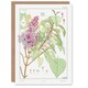 image 1 of Maurice Pillard Verneuil Art Card Lilac Flower Plant