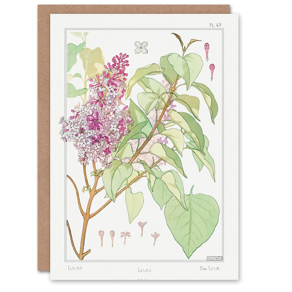 image 1 of Maurice Pillard Verneuil Art Card Lilac Flower Plant
