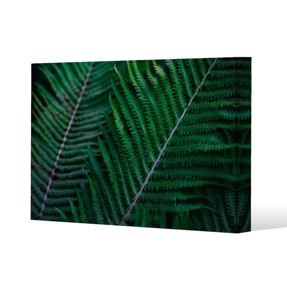 image 1 of green leaves, abstract flora texture (Canvas Print) 101 x 77 x 4cm
