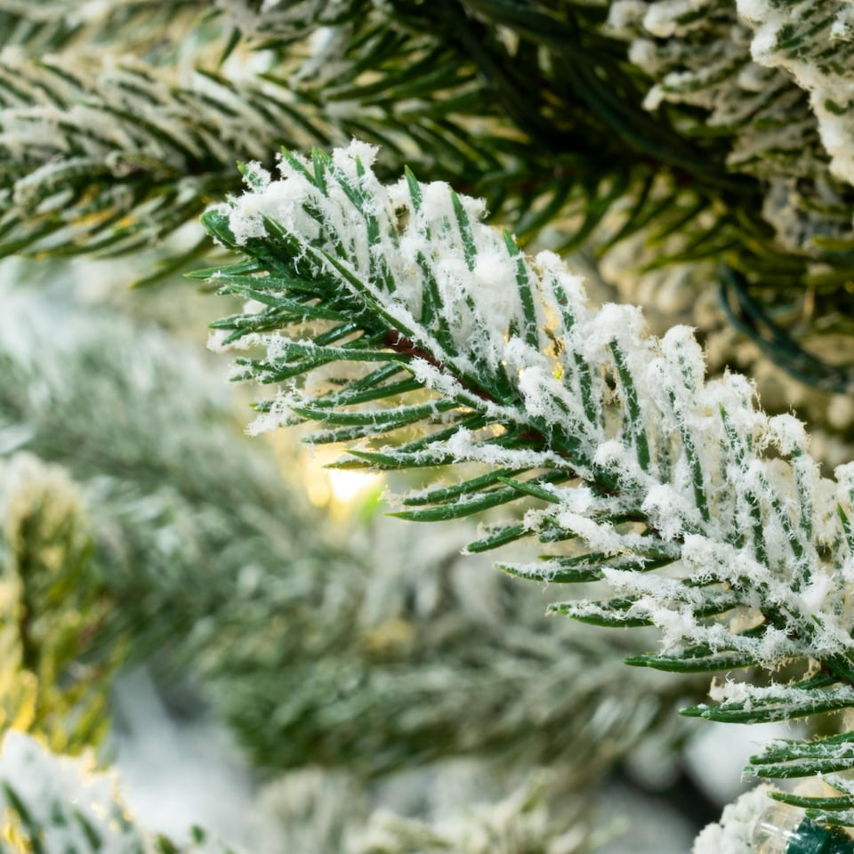 image 1 of Christmas Tree World  7ft/210cm Frosted Ultra Mountain Pine