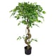 image 1 of Artificial Trees 120cm Medium Twisted Ficus 120cm | Green | 4ft