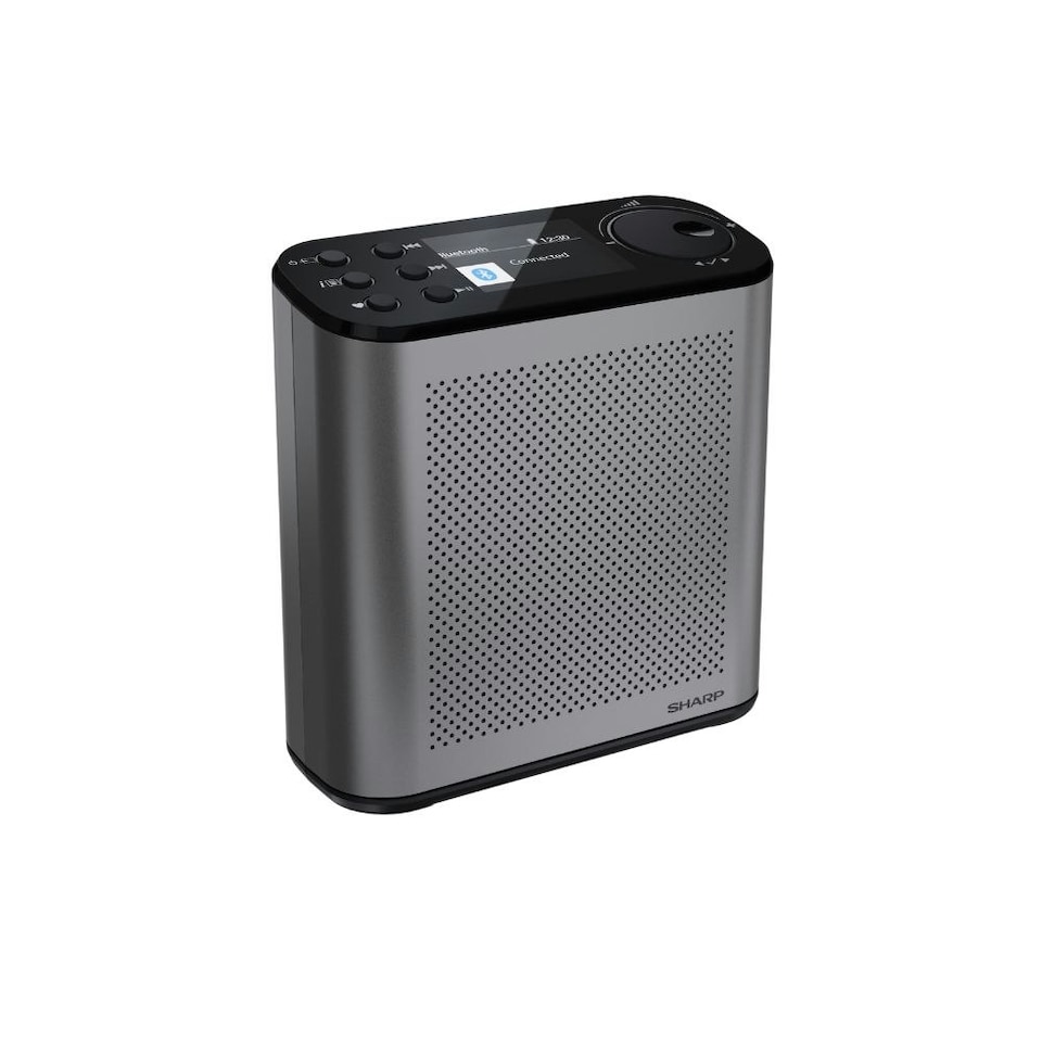 image 1 of SHARP DR-P530(GY) OSAKA Portable Digital Radio - Grey