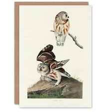 John James Audubon Art Card Birds Of America Little Owls