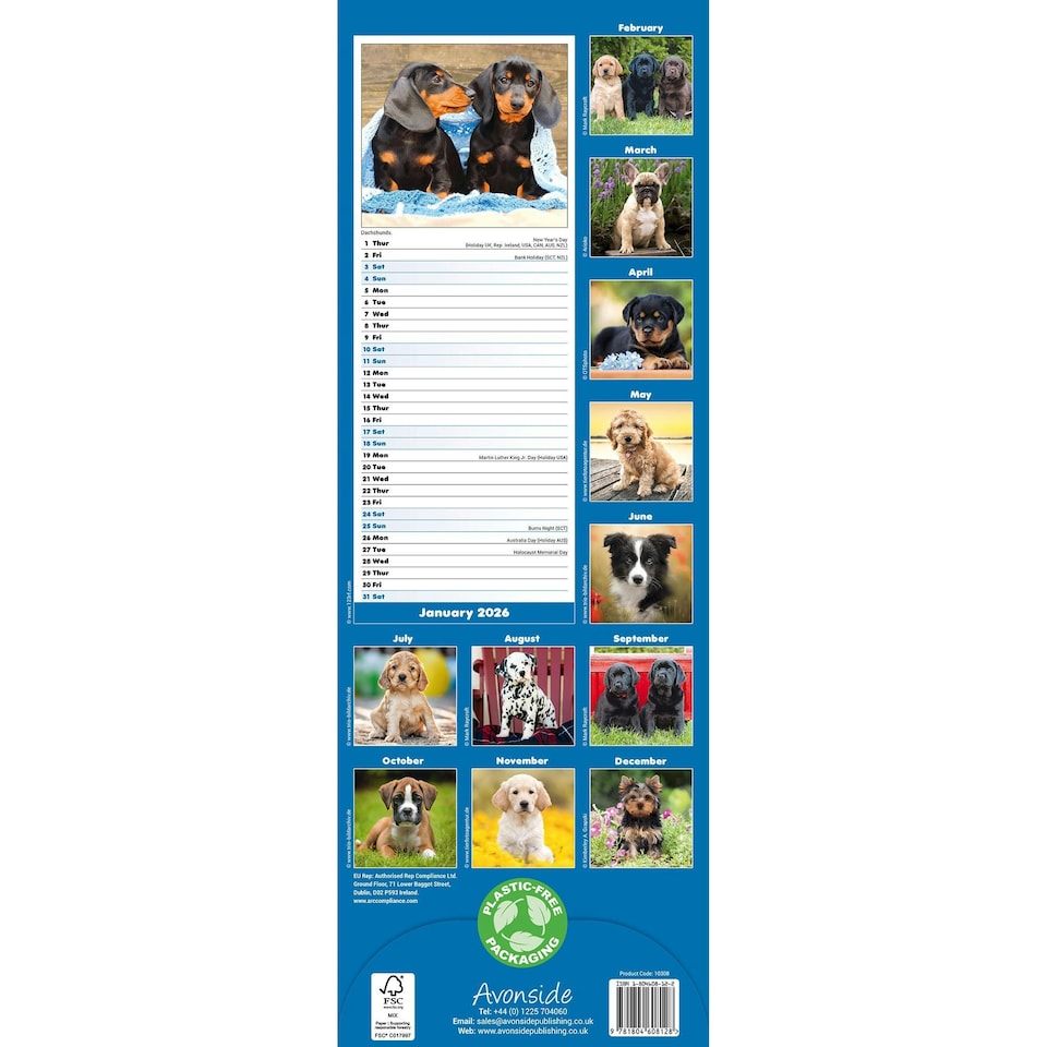 image 1 of Puppies Slim 2026 Calendar | Slimline Wall Calendar | Dog Breed Gift | Plastic Free Packaging | by Avonside Publishing [Calendar] Avonside Publishing Ltd