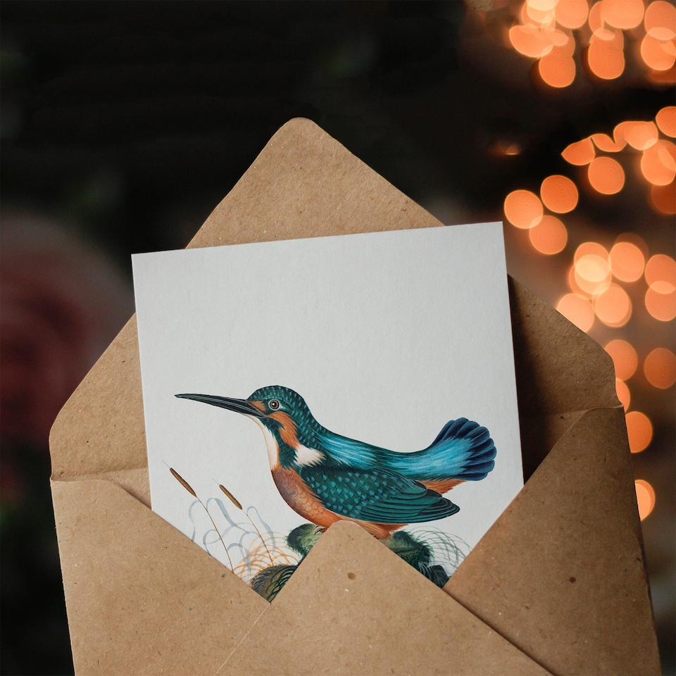 image 1 of James Bolton Art Card Common Kingfisher Vintage Illustration