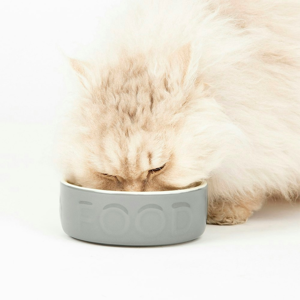image 1 of Scruffs Classic Food Bowl 13cm Grey Grey