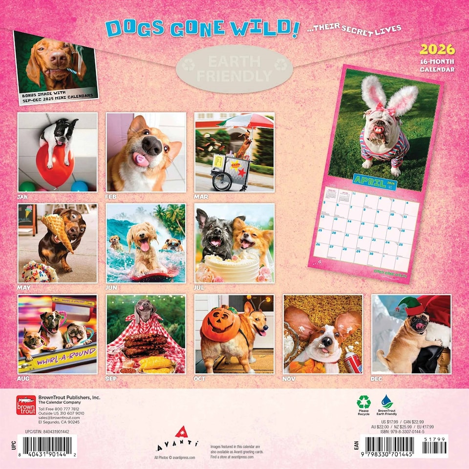 image 1 of Avanti Dogs Gone Wild 2026 Square Flap Calendar