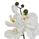 image 4 of Hill Interiors Butterfly Orchid Artificial Flower - White - 52cm x 9cm x 9cm