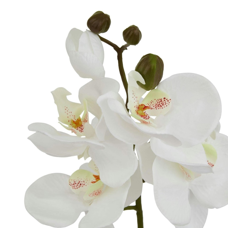 image 1 of Hill Interiors Butterfly Orchid Artificial Flower - White - 52cm x 9cm x 9cm