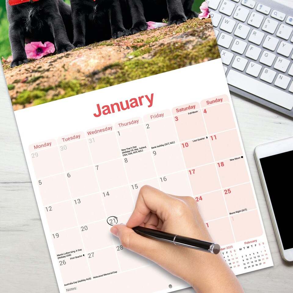 image 1 of Staffordshire Bull Terrier Puppies 2026 Calendar | Square Wall Calendar | Dog Breed Gift | Plastic Free Packaging | by Avonside Publishing