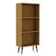 Beech Bookcase & Black Leg