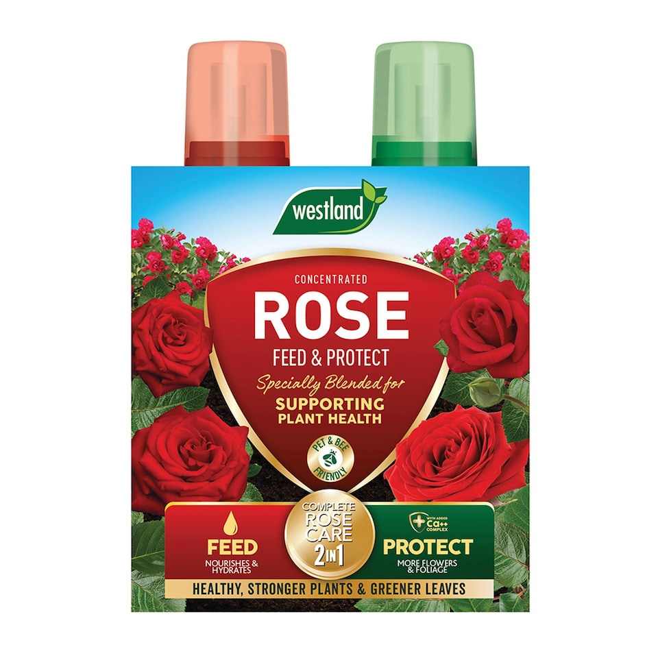 image 1 of Rose Feed & Protect 2in1 Pack 2x 500ml | Multi | 1 x Duo Pack | 1