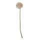 image 2 of Hill Interiors Allium Stem Artificial Plant - Lilac - 80cm