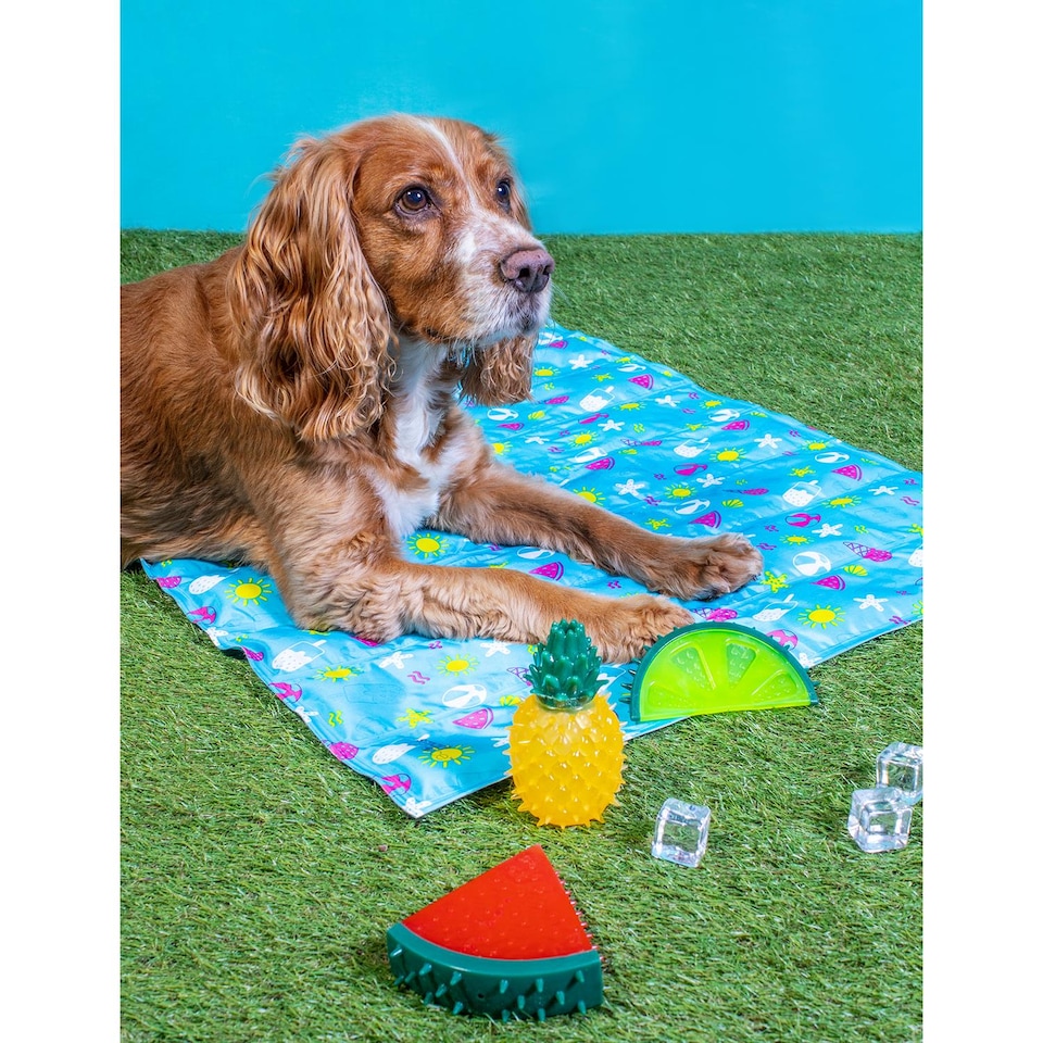 image 1 of Pineapple Summer Cooling Pet Toy - Dog Puppy Teething Chew Outdoor Play Freezable Durable Rubber  Hydrating Teether Frozen