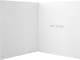 image 4 of Festive Angel 2 Designs Pack of 16 Boxed Charity Christmas Cards