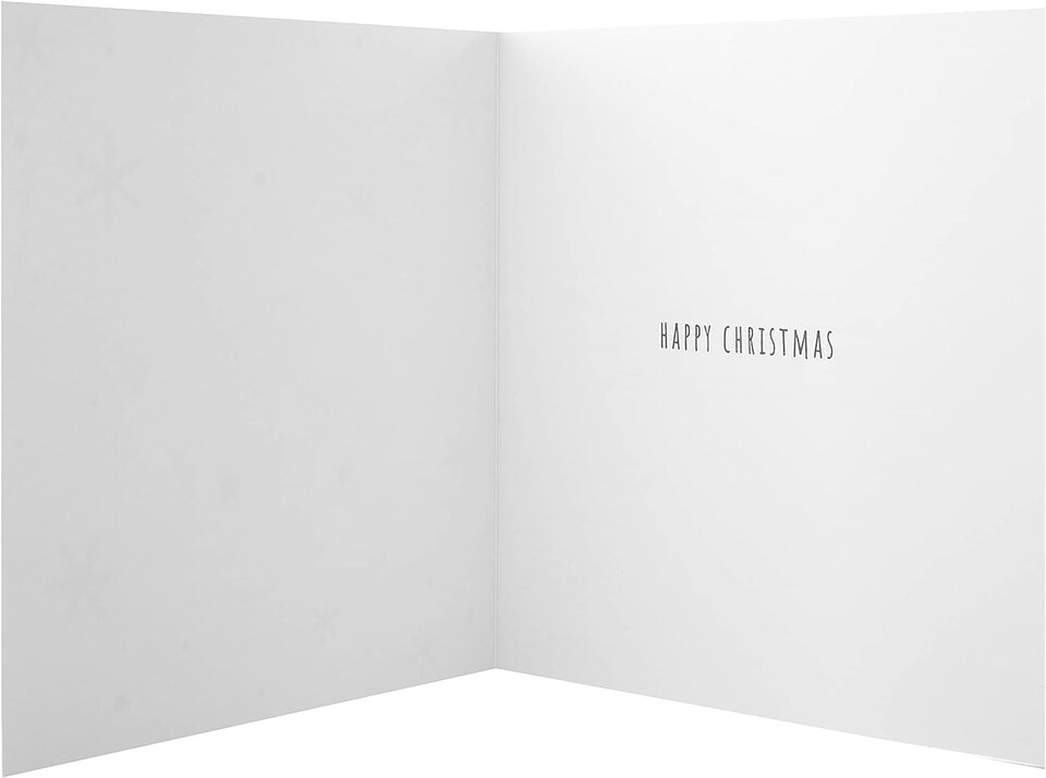 image 1 of Festive Angel 2 Designs Pack of 16 Boxed Charity Christmas Cards