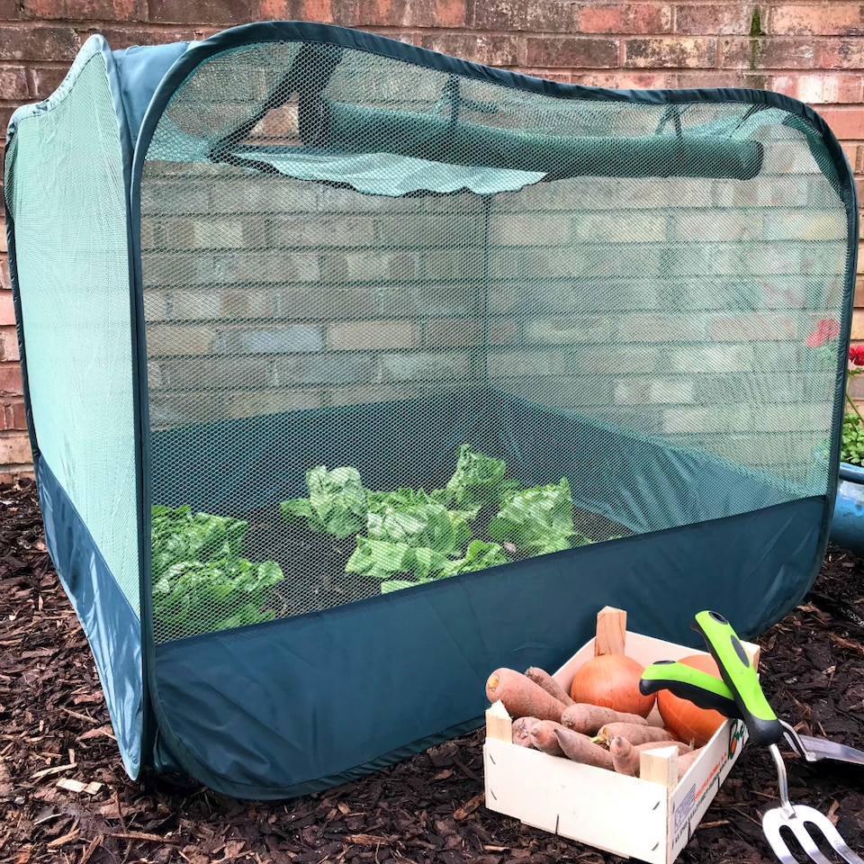 image 1 of GardenSkill Pop Up Strawberry & Salad Fruit Cage Bird Netting Pest Protection Cover 1.25m x 0.75m H