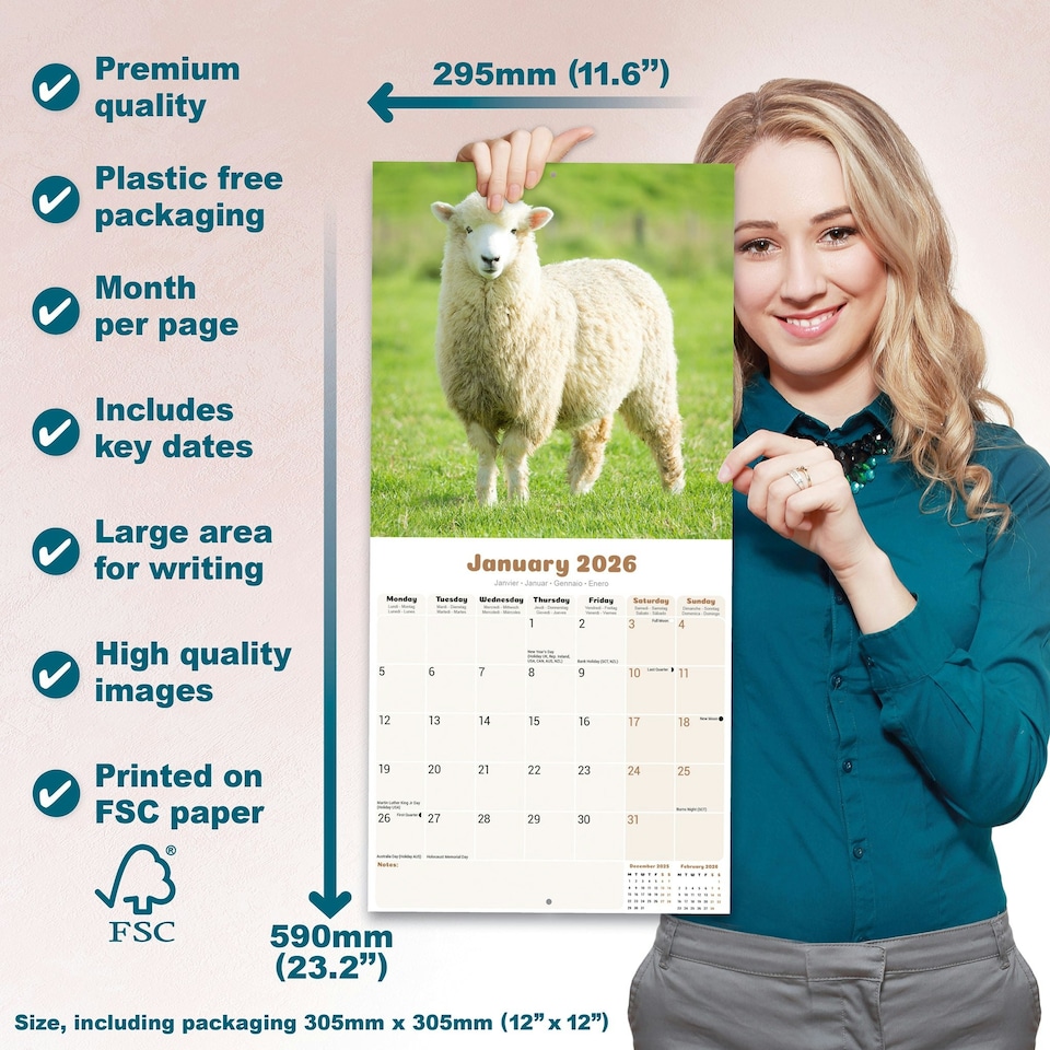 image 1 of Sheep 2026 Calendar | Square Wall Calendar | Farm Animal Gift | Plastic Free Packaging | by Avonside Publishing