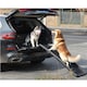 image 7 of Gr8 Garden Dog Pet Ramp Plastic Folding Lightweight Strong Bi Fold Travel Car Van Portable